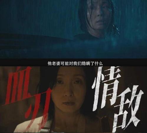 悬疑片视频国产